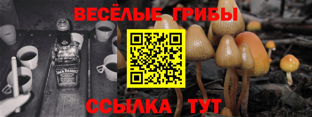 Фурманов  Галлюциногенные грибы GOLDEN TEACHER  Вход с VPN 